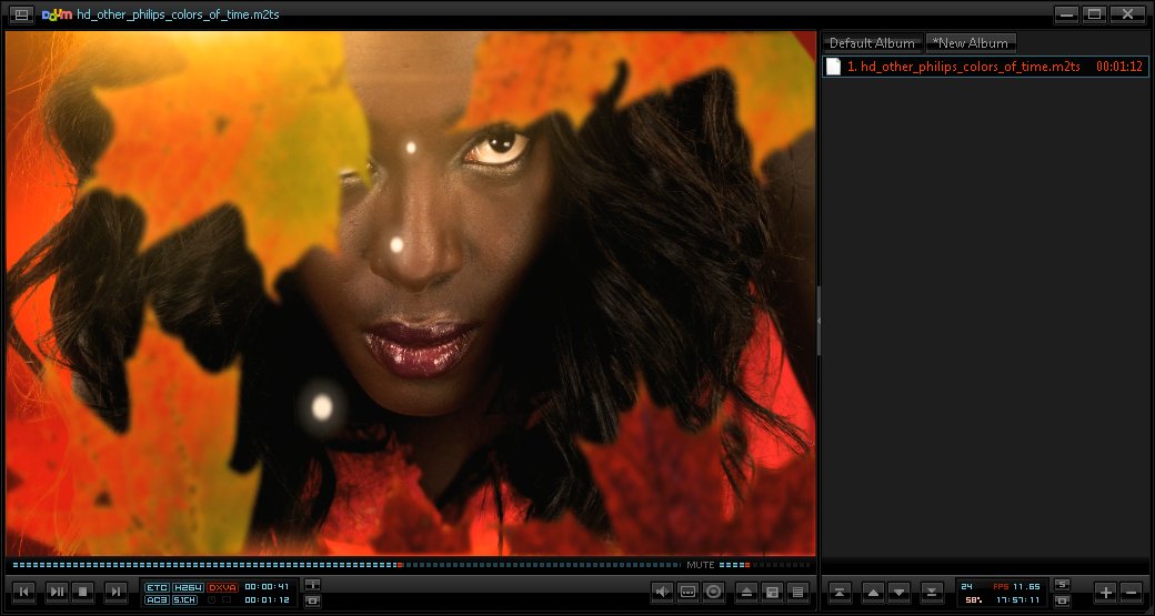 Potplayer Portable 1.6.57875