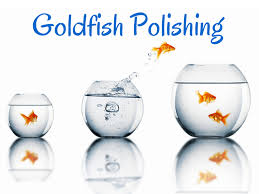 Goldfish Professional