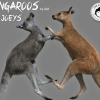 DAZ3D ~ Poser : Kangaroos and Joeys