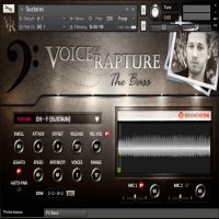 Soundiron Voice of Rapture The Bass