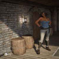 DAZ3D - Fantasy Wine Cellar