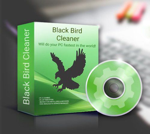 Black Bird Registry Cleaner Pro 1.0.0.8