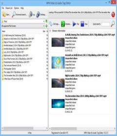 3delite MP4 Video and Audio Tag Editor 1.0.67.83 incl