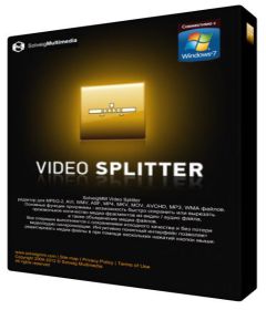 SolveigMM Video Splitter Business Edition 6.1.1707.19