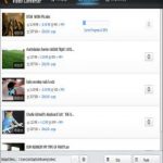 Wise Video Converter Pro 2.3.1.65 + Portable + Activator