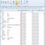 FileConvert Professional 10.1.0.24 incl Keygen