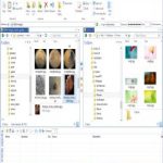 SmartFTP Client Enterprise 9.0.2559.0 + x64 + patch