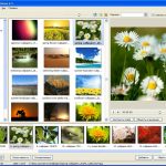 PicturesToExe Deluxe 9.0.18 + patch