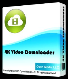 4K Video Downloader 4.4.8.2317 + Portable + patch