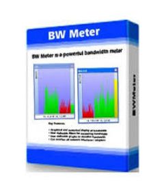 BWMeter 7.5.0 + patch