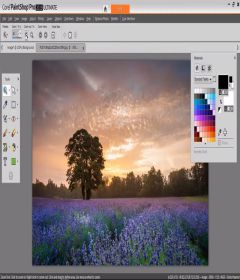 Corel Paintshop Pro 2019 Ultimate 21.0.0.67 incl Keygen