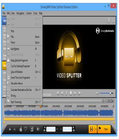 SolveigMM Video Splitter Business Edition 6.1.1807.20 + Serial