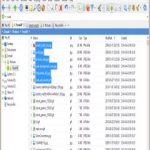 XYplorer 19.10.0000 + Portable + keygen