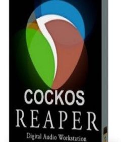Cockos REAPER 5.941 + x64 + keygen + patch
