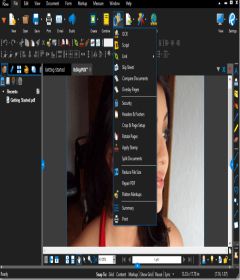 Revu eXtreme 2018 v18.2 + patch
