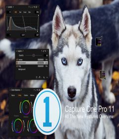 Capture One Pro 11.3.0 + keygen