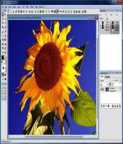 PhotoLine v21.01 + key