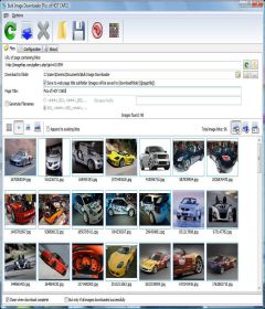 Bulk Image Downloader 5.32.0.0 incl Patch