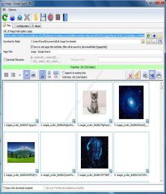 Bulk Image Downloader 5.29.0.0 incl Patch