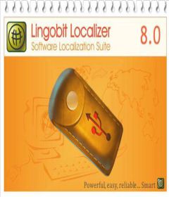 Lingobit Localizer Enterprise 9.0.8419.0 incl Patch