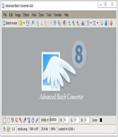 Advanced Batch Converter 8.0 + serial