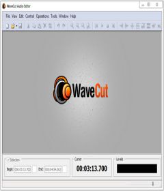 WaveCut Audio Editor 5.2.5.0 + patch