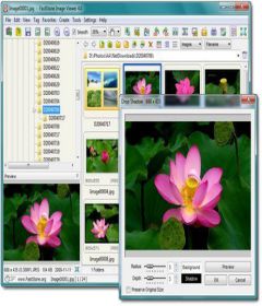 FastStone Photo Resizer 3.9 Corporate + keygen