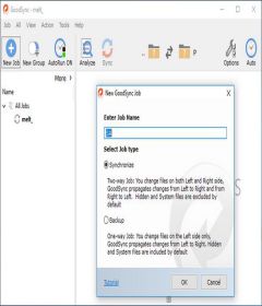 GoodSync 10.9.18.9 Enterprise incl Crack