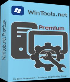 WinTools net Professional & Premium v19.0 + keygen
