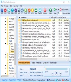 CoolUtils Total Audio Converter 5.3.0.198 + key