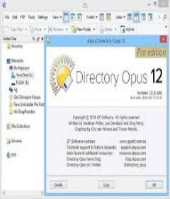 Directory Opus 12.12 Build 6961 incl Patch
