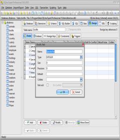 SQLite Expert Professional 5.3.3.381 x86+x64 + License