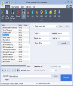 AVS Audio Converter 9.0.2.592 + patch