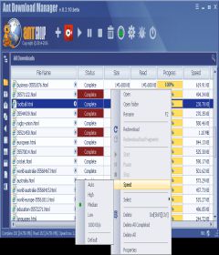 Ant Download Manager Pro 1.12.0 Build 57426 + patch