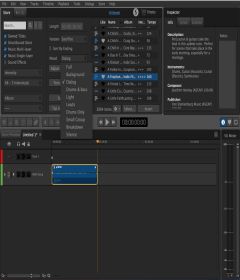 SonicFire Pro 6.1.5 + Patch