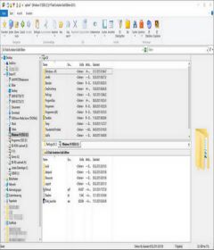 Xplorer2 Ultimate 5.4.0.2 instaling