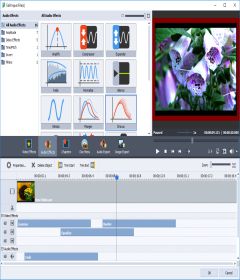 AVS Video Converter 11.0.3.639 + patch