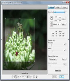 AlienSkin Blow Up with patch full download