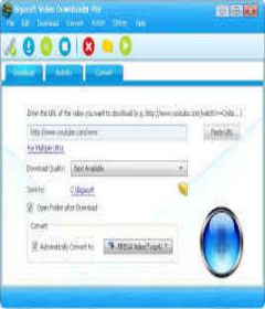 Bigasoft Video Downloader Pro 3.17.4.7061 + Portable + keygen