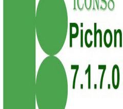 Pichon + patch - CrackingPatching