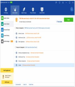 Wise Care 365 Pro 5.3.1 Build 528 + activator