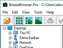 BreezeBrowser Pro 1.11 + key