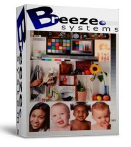 BreezeBrowser Pro 1.11 + key