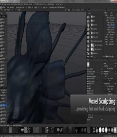 3D Coat 4.9.02 + patch