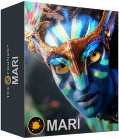 The Foundry Mari + Patch