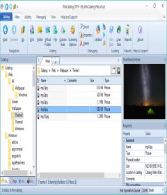 WinCatalog 2019 v19.0.2.723 + keygen