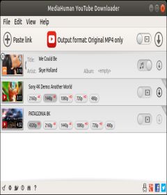 YouTube Downloader 3.9.9.20 (1607) + patch