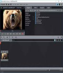 Magix Movie Edit Pro 2020 Premium 19.0.1.18 with Patch