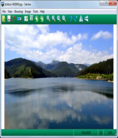 Salview with 32bit + 64bit Patch