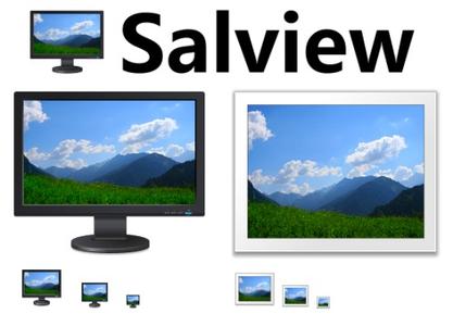 Salview with 32bit + 64bit
